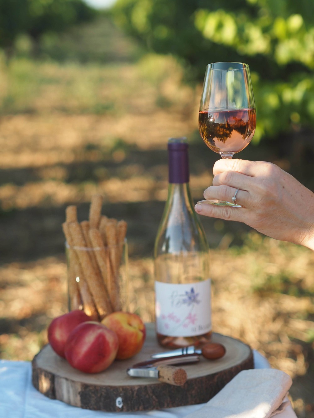 Verre de vin rosé dégusté dans les vignes lors d’un wine tour sur mesure en Cévennes