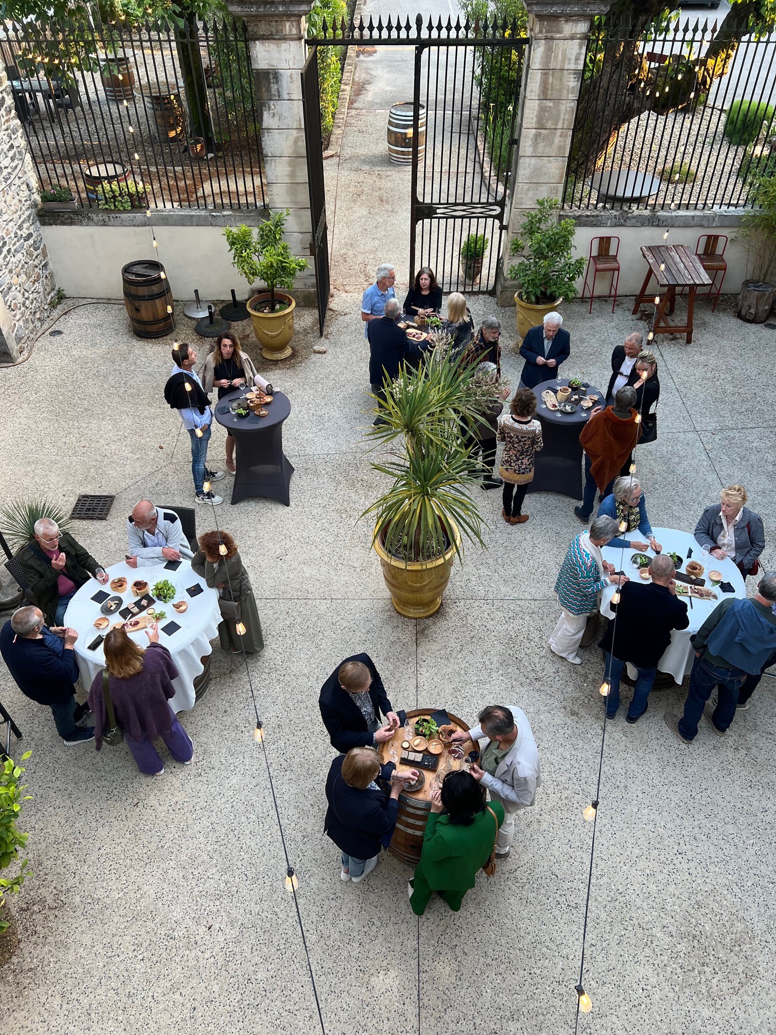 Wine tasting evening in the courtyard of a Cévennes Wine Tour partner estate.