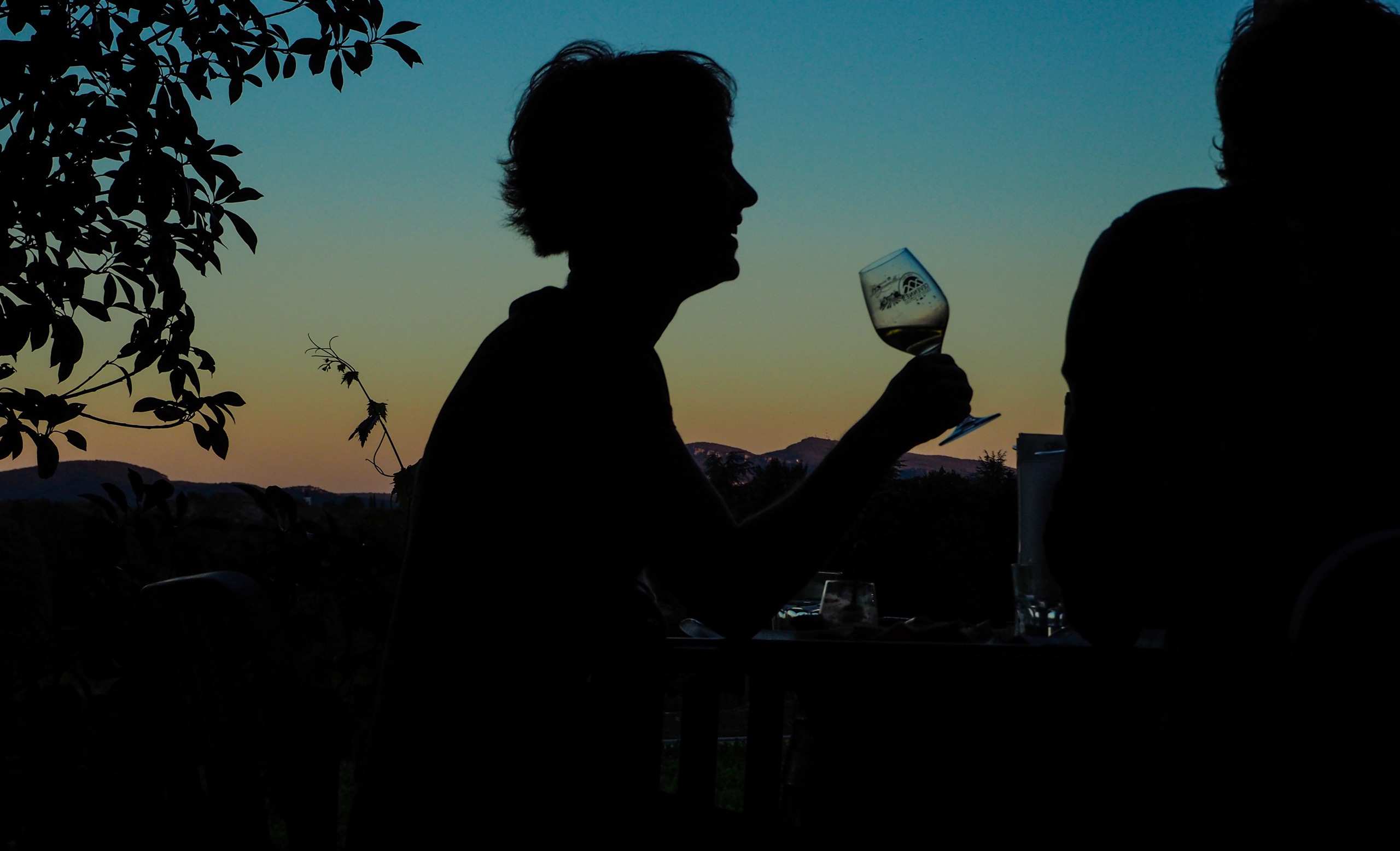 Dégustation de vin au coucher du soleil pendant un wine tour sur mesure en Cévennes