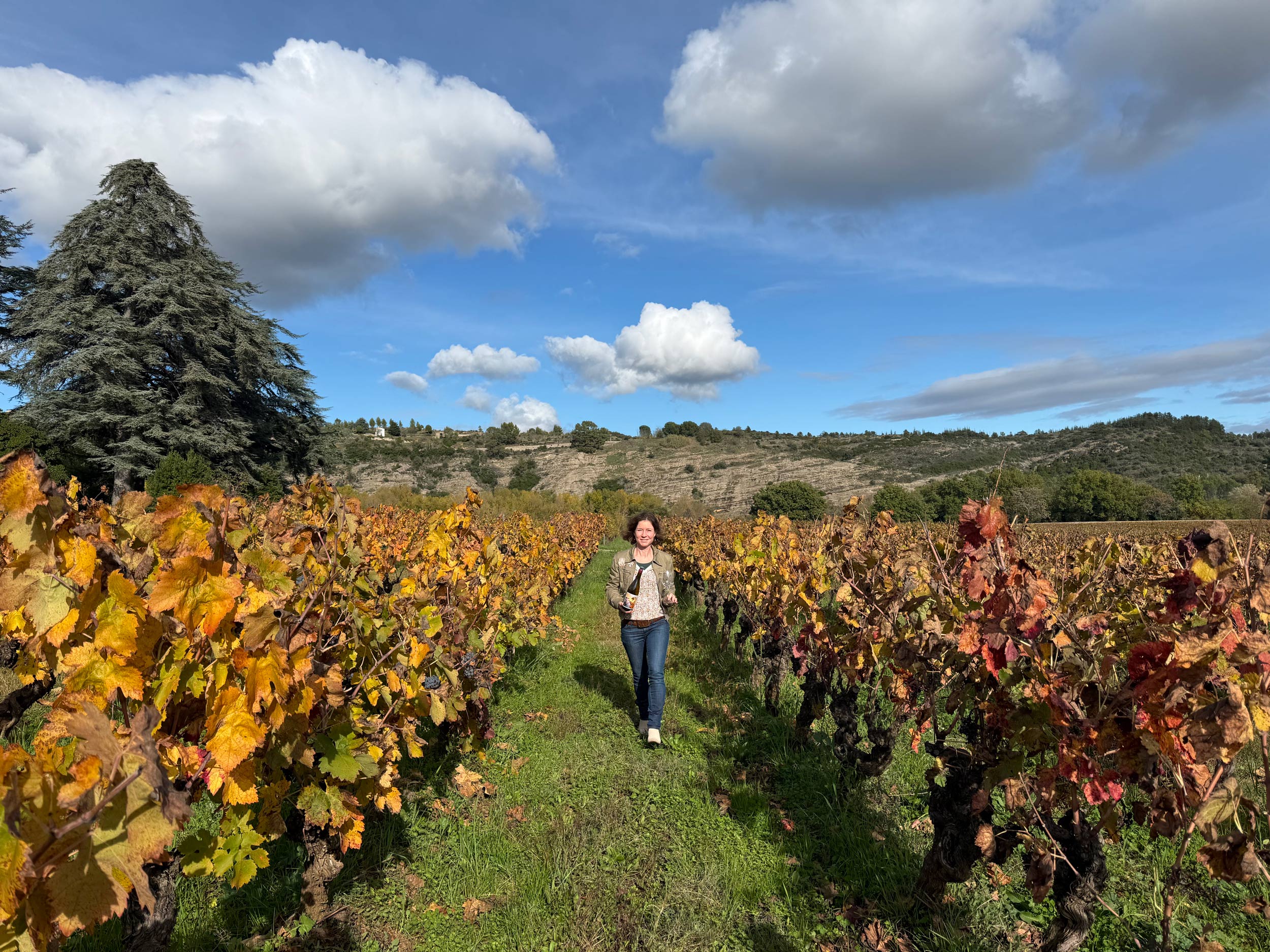 Balade œnotouristique dans les vignes des Cévennes avec Cévennes Wine Tour