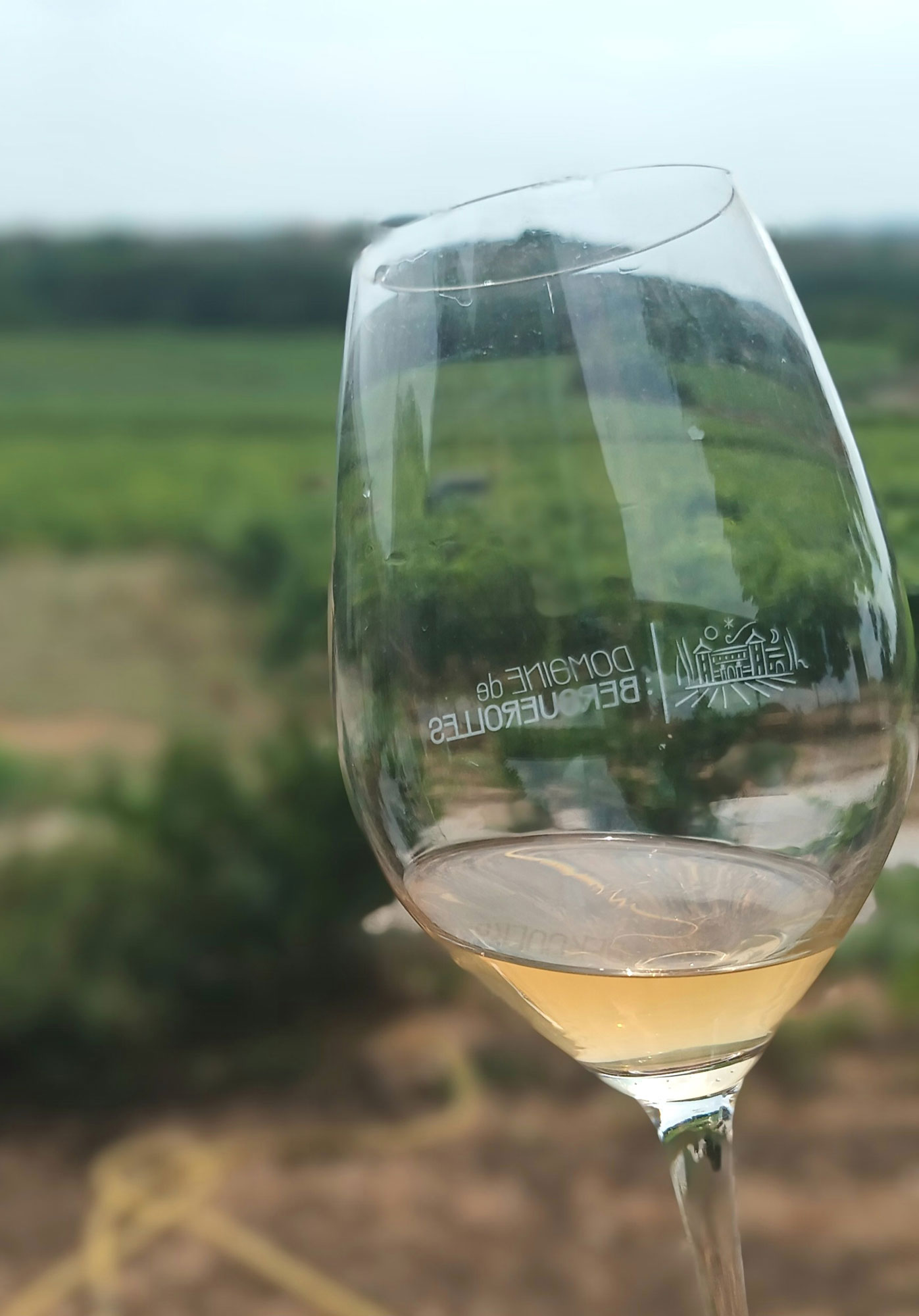 vins-des-cevennes-cepages-blanc vins blanc des cévennes