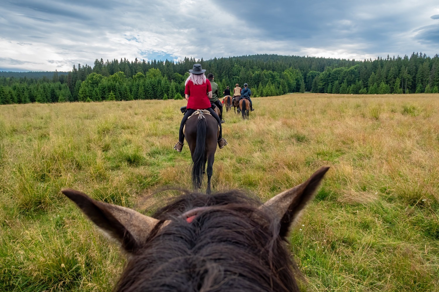 Horseback ride in the Cévennes landscapes during a wine tour